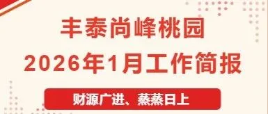 豐泰尚峰<em>桃園</em>2026年1月工作簡(jiǎn)報(bào)