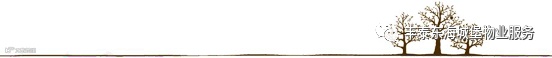 大树分割线