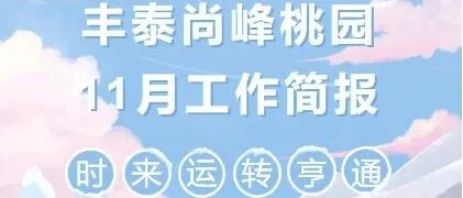 豐泰尚峰<em>桃園</em>11月工作簡(jiǎn)報(bào)