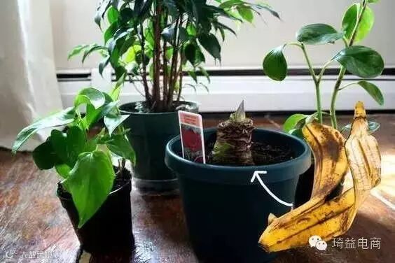 她吃完香蕉随手把皮扔在车内,第二天打开车门惊呆了