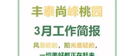 丰泰尚峰<em>桃园</em>3月工作简报