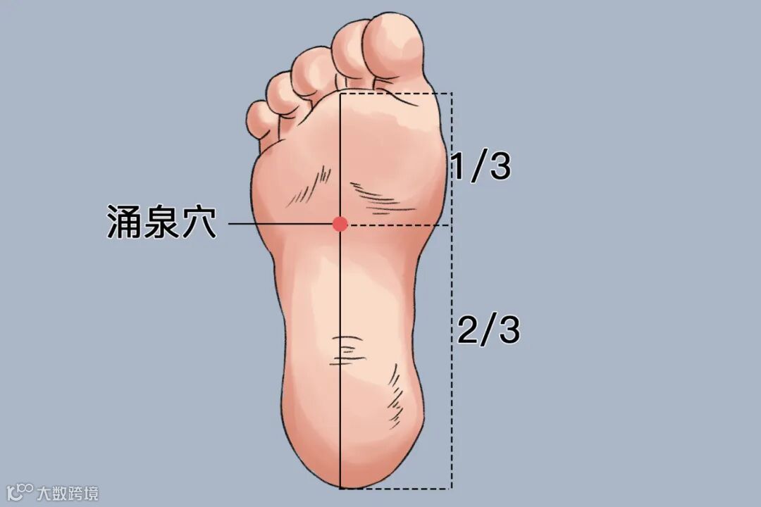 涌泉穴位置图.jpg
