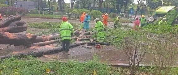 暴雨骤临，无畏前行 ——东莞经纬人以“逆行”守护城市通行安全