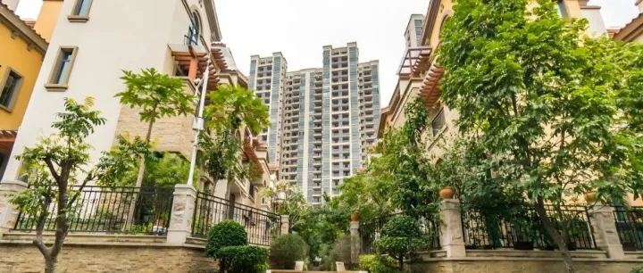 丰泰尚桃园2025年8月工作简报