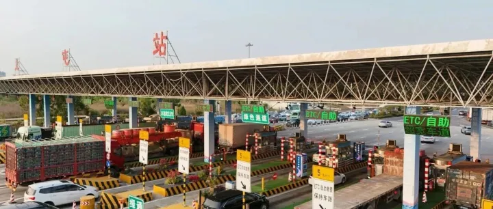 清明不堵车！东莞高速出行干货来了