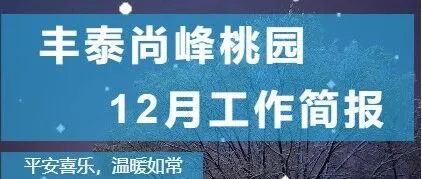 丰泰尚峰<em>桃园</em>12月工作简报