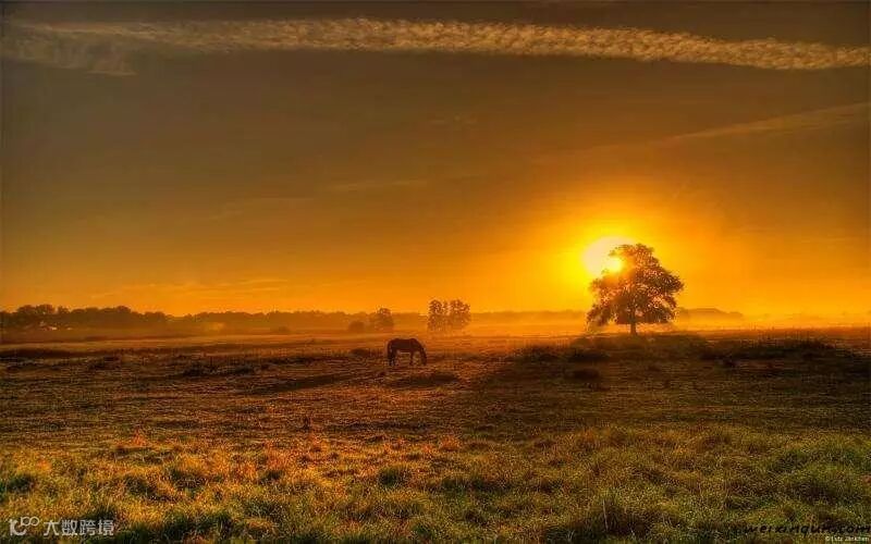 请慢一点,让你的好运发酵