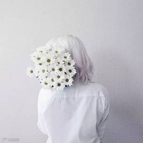 珠宝×鲜花 | 你知道吗?珠宝也有花语