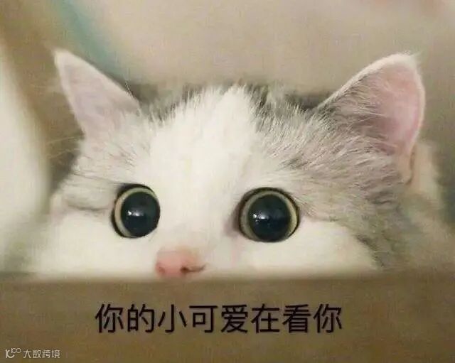 点击查看源网页