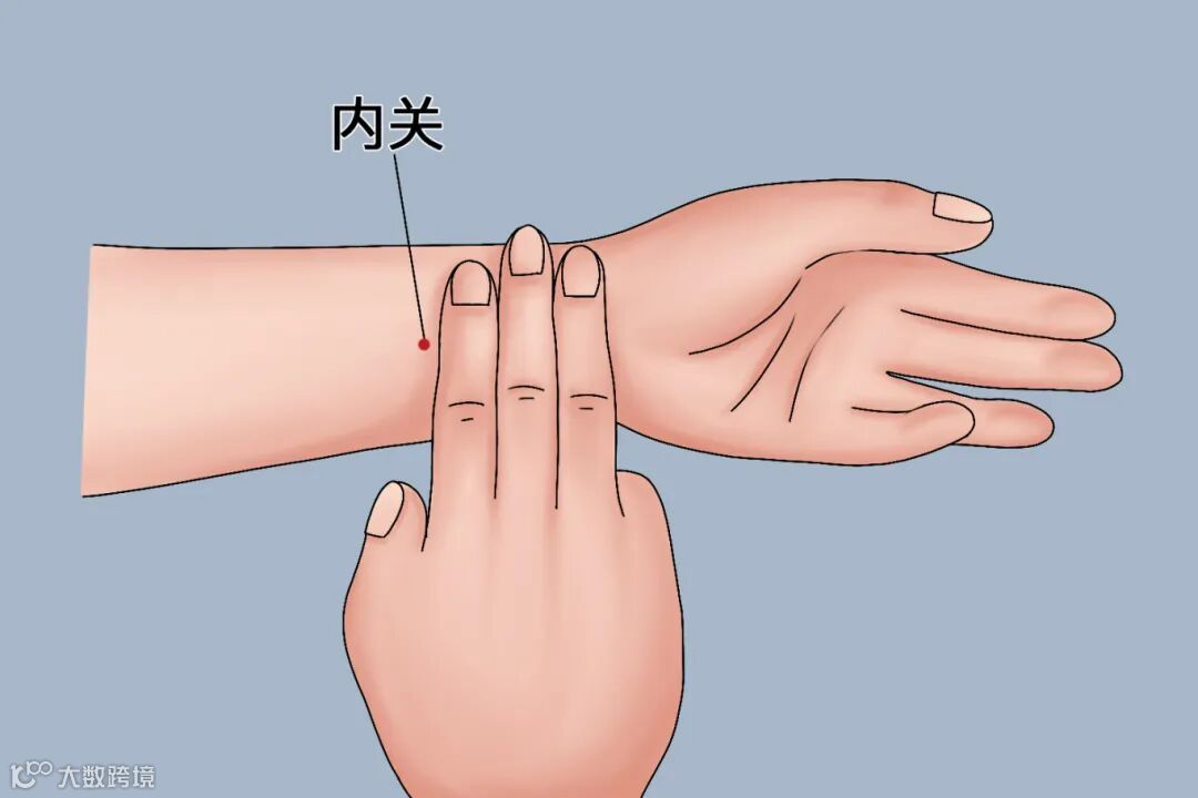 内关穴位置手绘图.jpg