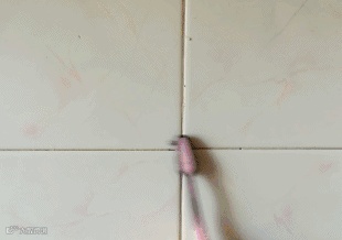 小苏打的妙用:一包小苏打就能解决多种居家难题