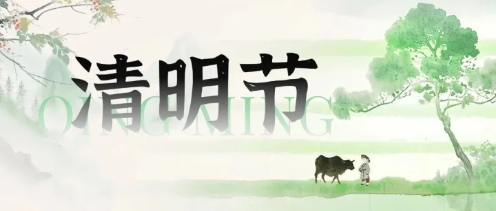 清明节丨又是一年春草绿，梨花风起清明时