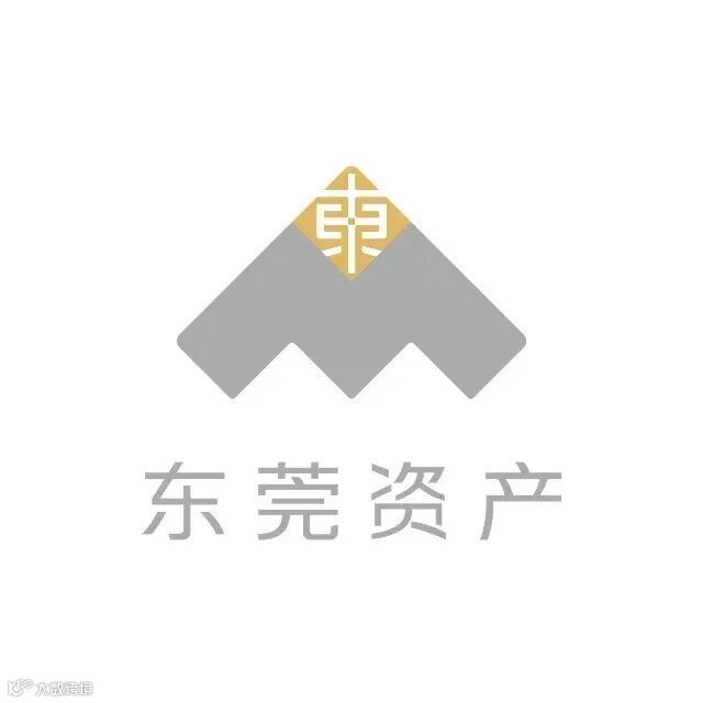 11.资产经营公司.jpg