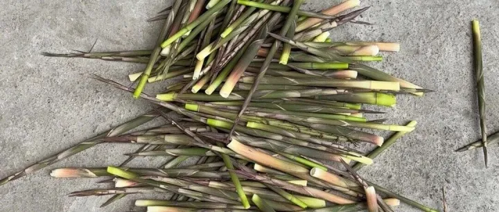 分心去做C端，很可能两端都兼顾不到