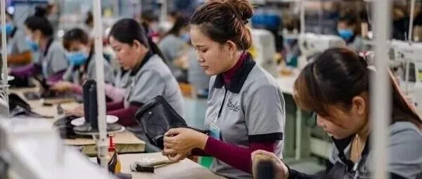 新增9.6万 vs 退出9.2万：越南商业世界正在加速洗牌