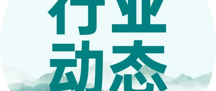 告别短信验证码：菲律宾银行集体“断网式升级”，是安全革命还是新一轮风险转移？