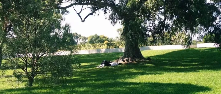 商务部等6部门关于更好服务实体经济 推进电子商务高质量发展的指导意见