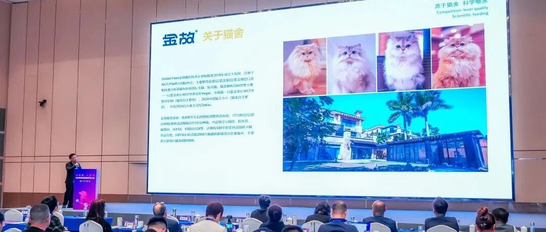金故质量负责人耿晓飞:以真实立心,以透明立信 —— 金故的食品安全信任建设之路- 大数跨境