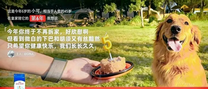 在地铁里写故事，在纸手机里寄托思念，在愚人节认真开玩笑……品牌如何在生活场景里打动人心？｜一周案例