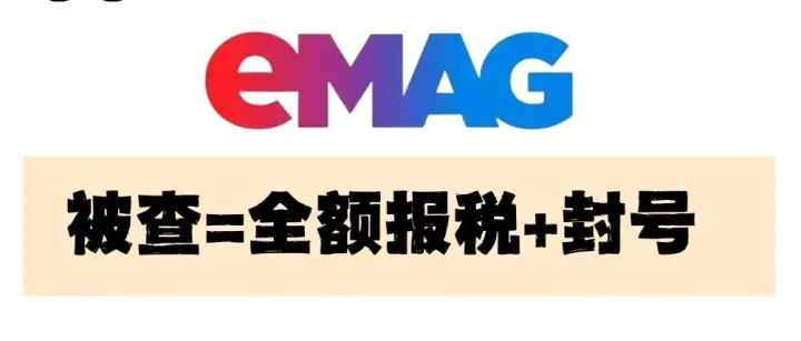 eMAG查税预警| 自己如何低申报