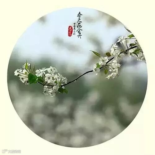 深度好文:人格如金!(说得太好了)