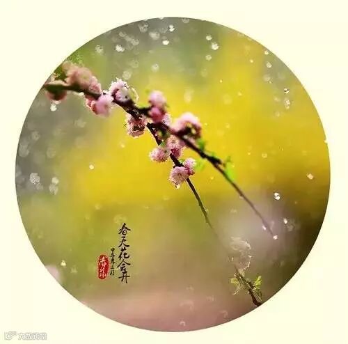 深度好文:人格如金!(说得太好了)