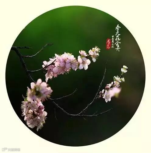 深度好文:人格如金!(说得太好了)