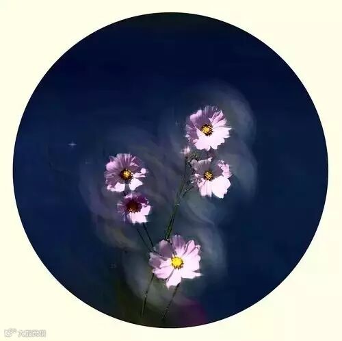 深度好文:人格如金!(说得太好了)