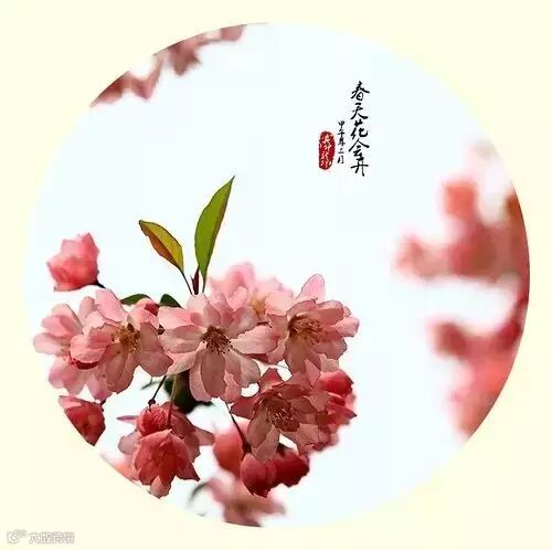 深度好文:人格如金!(说得太好了)