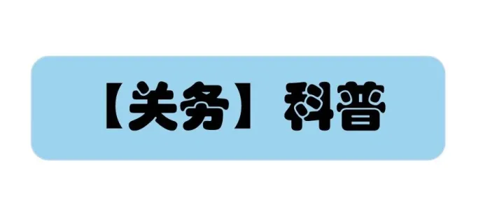 出口报关单"杂费"怎么填？一文讲清含义与填制规范