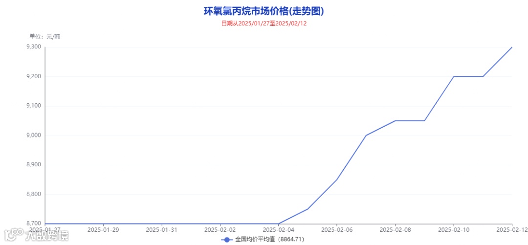 DM_20250213112654_001