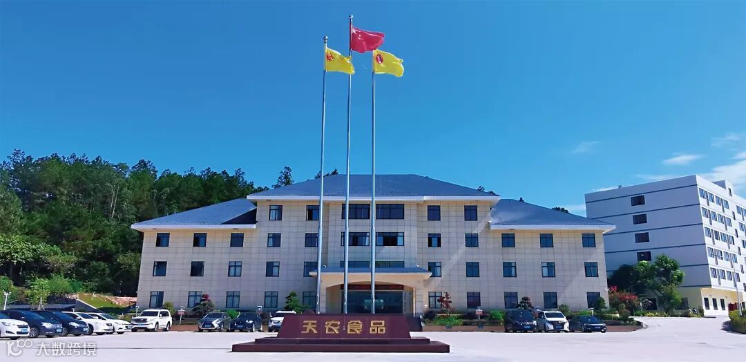 天农食品，清远鸡，清远麻鸡，白切鸡- 我的网站