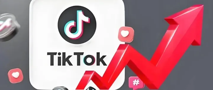 TikTok Shop在德国火了：上线一年，15%的人买过，X世代花钱最狠
