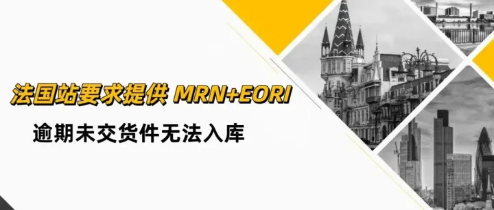 亚马逊法国站要求提供 MRN+EORI ~ 两者缺一不可！
