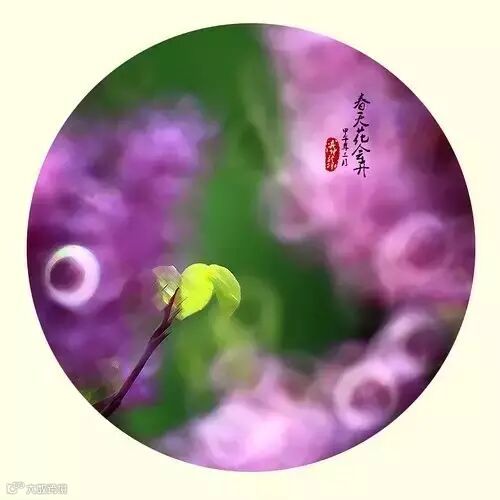 深度好文:人格如金!(说得太好了)