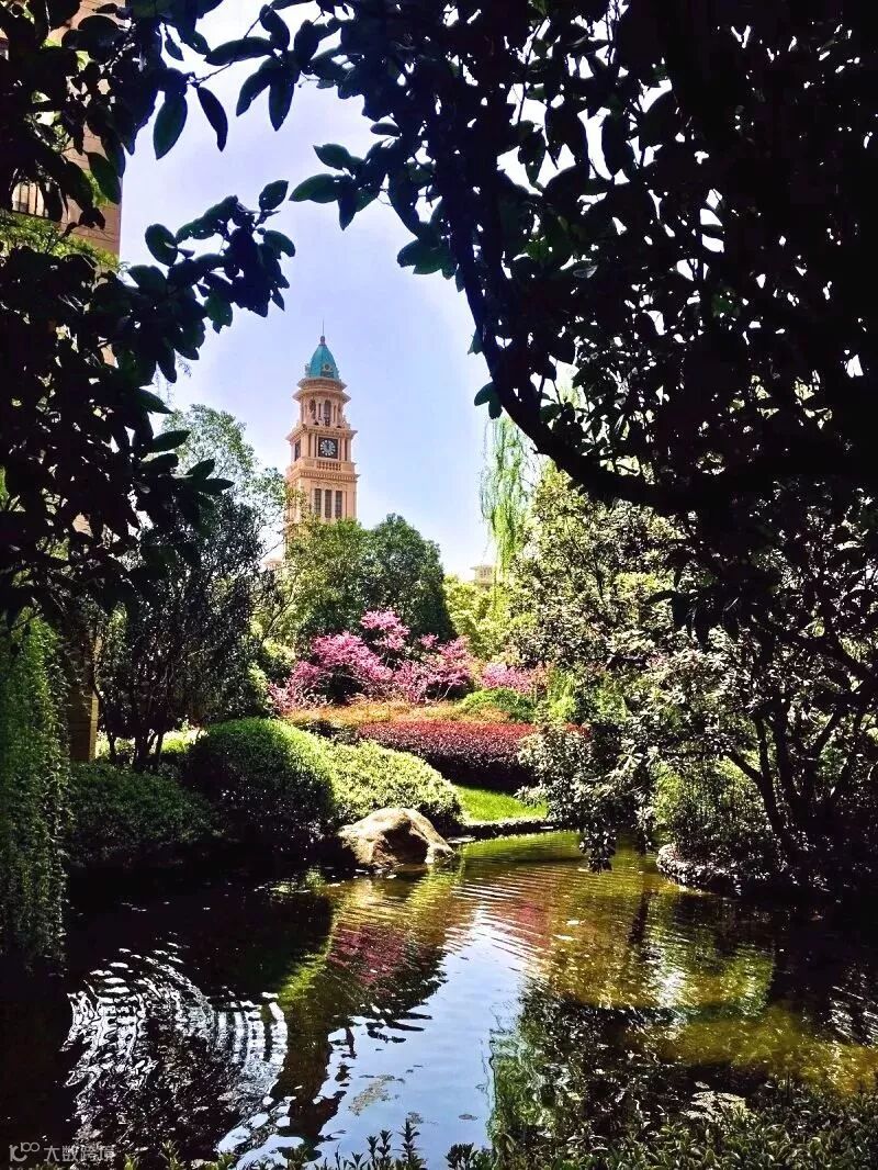 第二名 95号 赵晓娜.jpeg