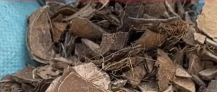 【海关提醒】东南亚报关进口椰壳碎标准和进口报关流程！