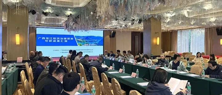 喜讯！广西龙江防洪治理项目可行性研究报告顺利通过技术评审