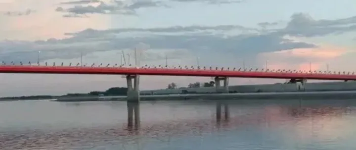 中俄<em>黑河</em>-布拉戈维申斯克界河公路大桥将启动无人驾驶货车通行