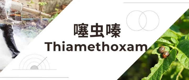 出口数据｜噻虫嗪75% WDG出口观察：拉美市场主导，巴拉圭放量与价格分化并行