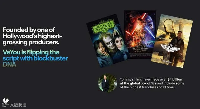 VeYou 推介演示文稿 5