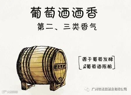 葡萄酒的酒香Wine Bouquets