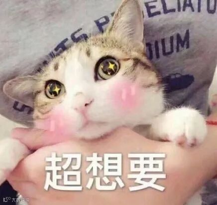超想要.jpg