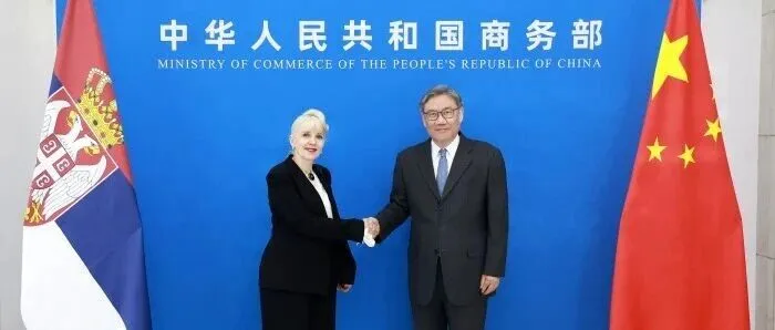 王文涛会见拉扎雷维奇