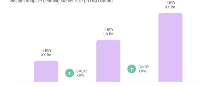 越南自适应学习市场概览