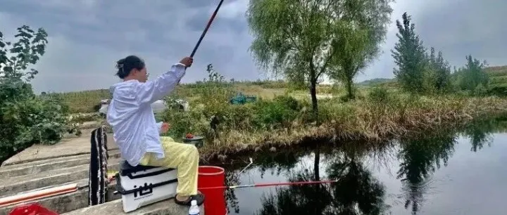 举办2026“一竿逍遥”<em>乐山</em>湖春钓大赛的通知