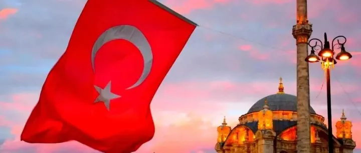 查询土耳其公司可以获取哪些信息？