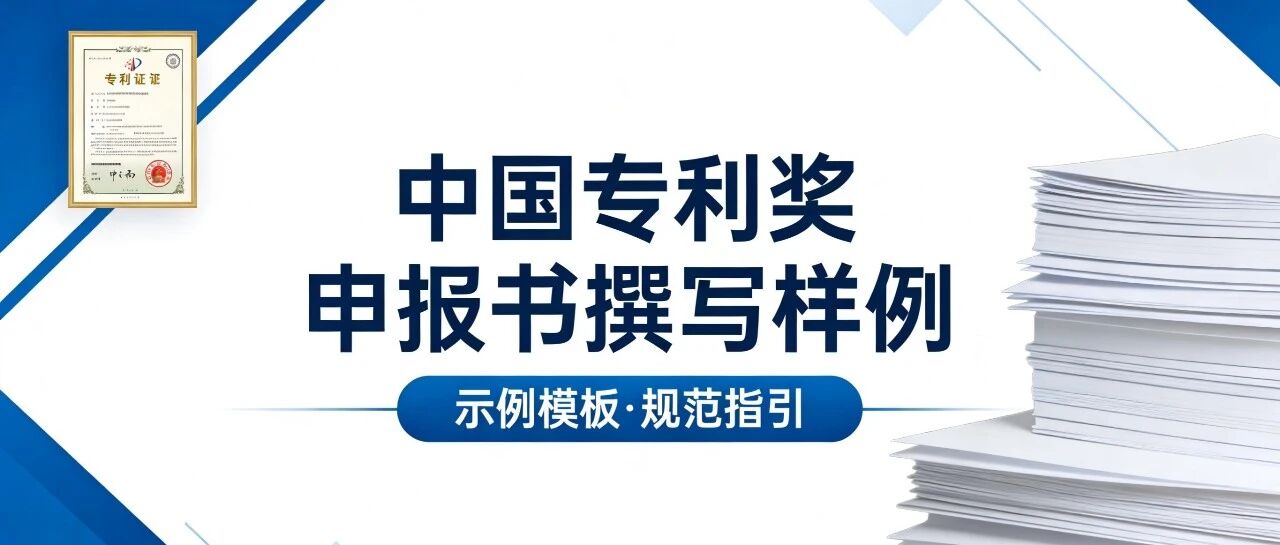 中国专利奖申报书「专利质量评价材料」参考样例- 大数跨境