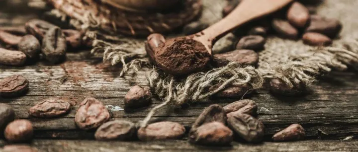 从非洲进口 - 西非篇（几内亚以外地区）| 进口趋势