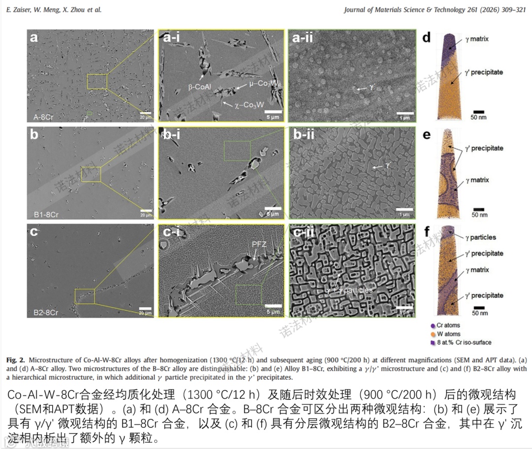 Erika论文-钴基合金 带水印.png